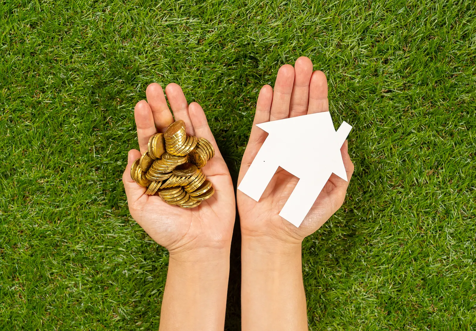 Rental Management or Tenant Placement: Which Is Better?